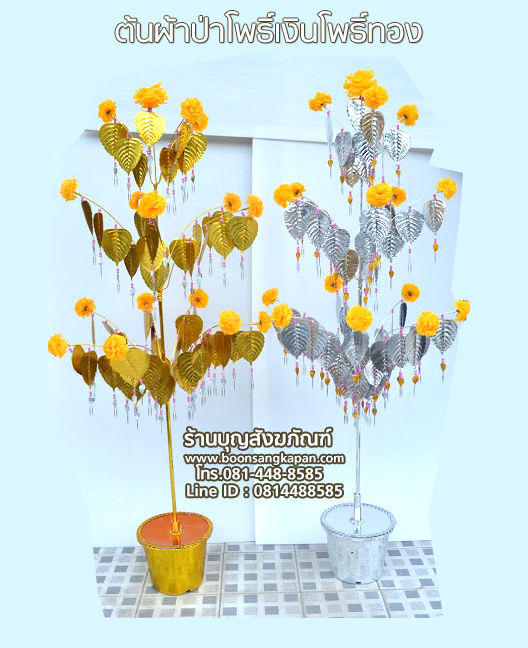 My Image 60