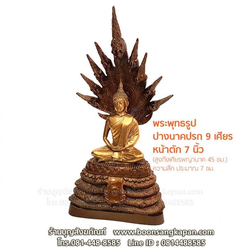 My Image 63