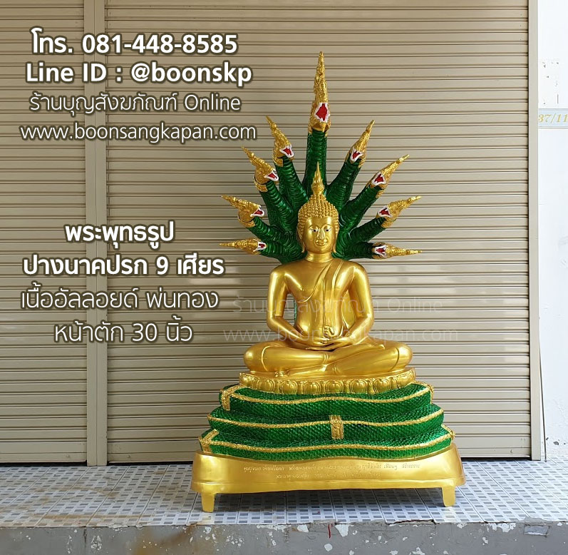 My Image 33