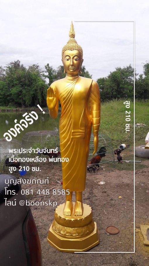 พระประจำวันจันทร์ เนื้อทองเหลือง ราคาไม่แพง สูง 210 ซม.