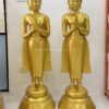 พระสารีบุตร เนื้อทองเหลือง พ่นทอง ขนาด 20 นิ้ว สูง 126 ซม.